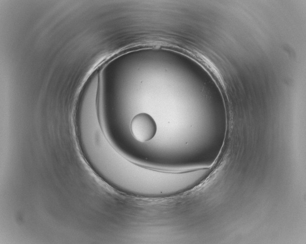 X0000116040997200912041808