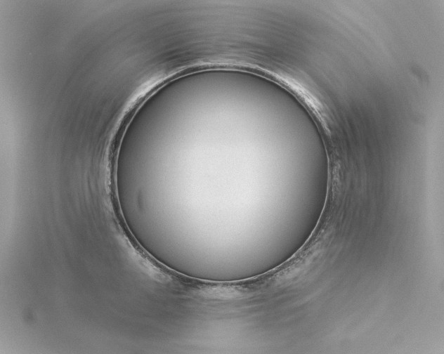 X0000116040998200912041808