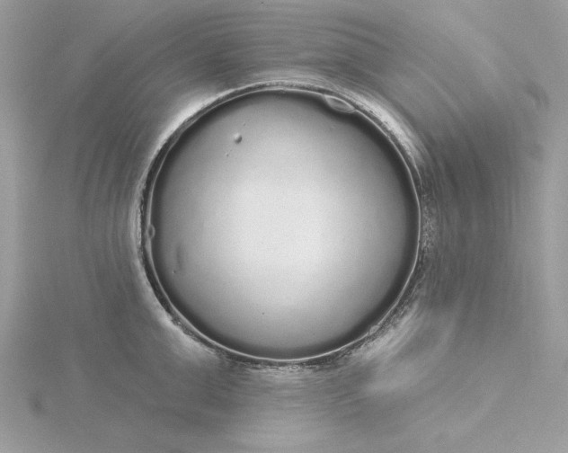 X0000116040999200912041808