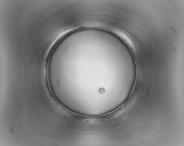 X0000116041000200912041808