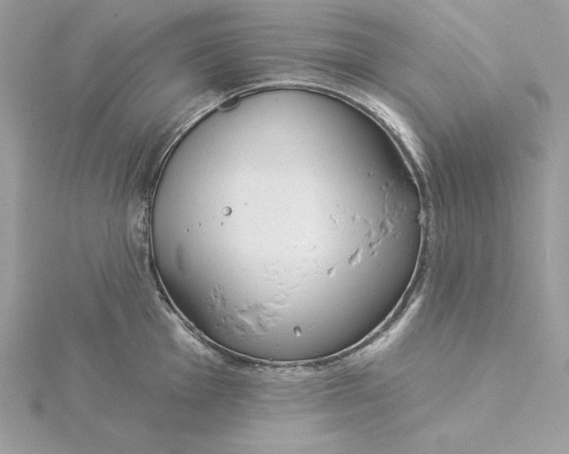 X0000116041001200912041808