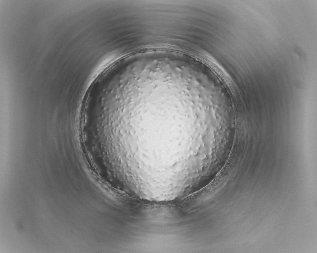 X0000116041002200912041808