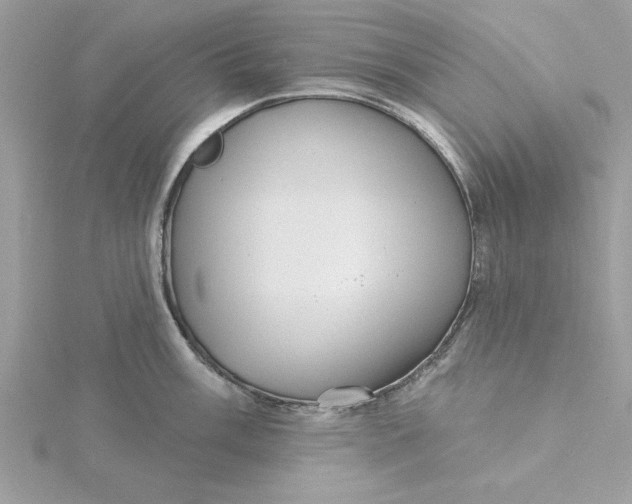 X0000116041003200912041808