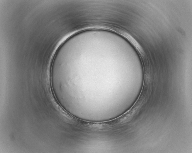 X0000116041004200912041808