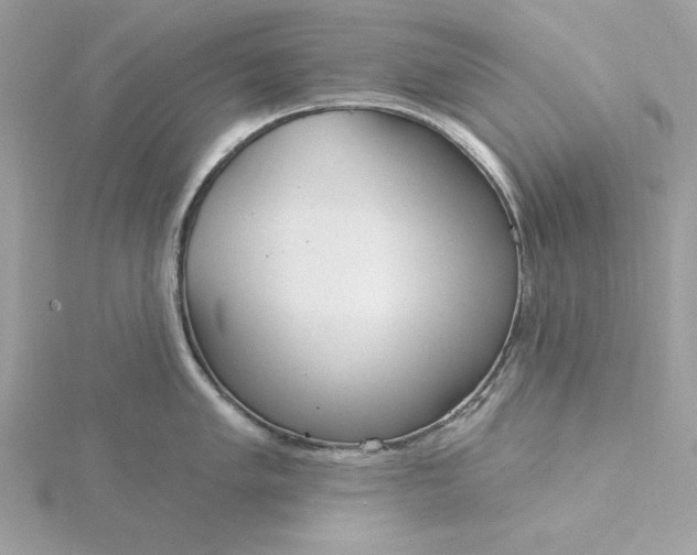 X0000116041005200912041808