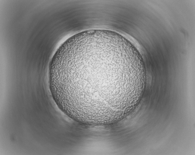 X0000116041006200912041808