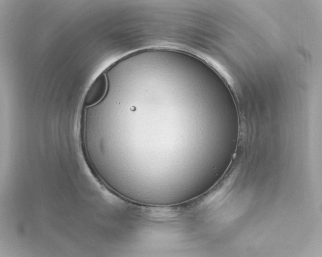 X0000116041007200912041808