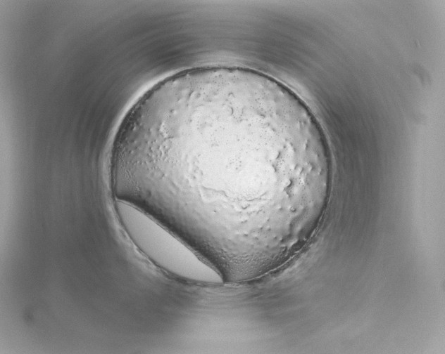 X0000116041008200912041808