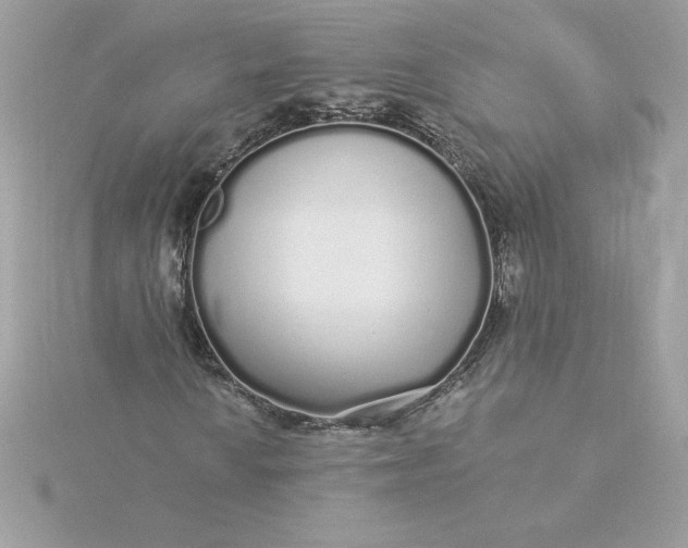 X0000116041010200912041807