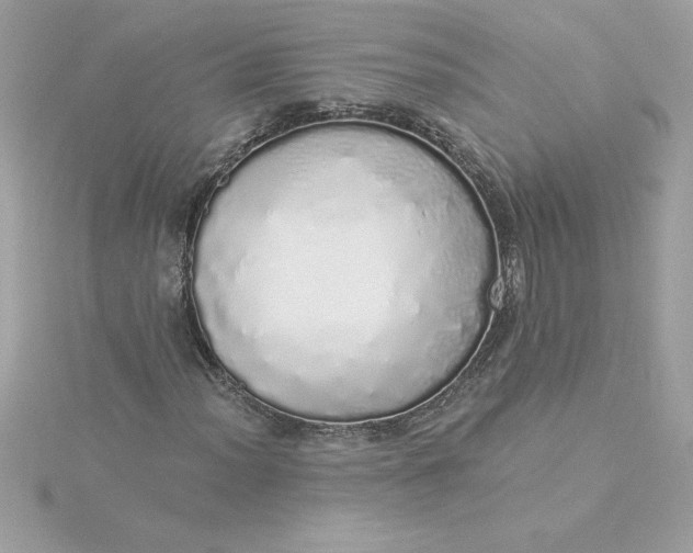 X0000116041012200912041807