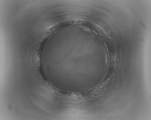 X0000116041013200912041807