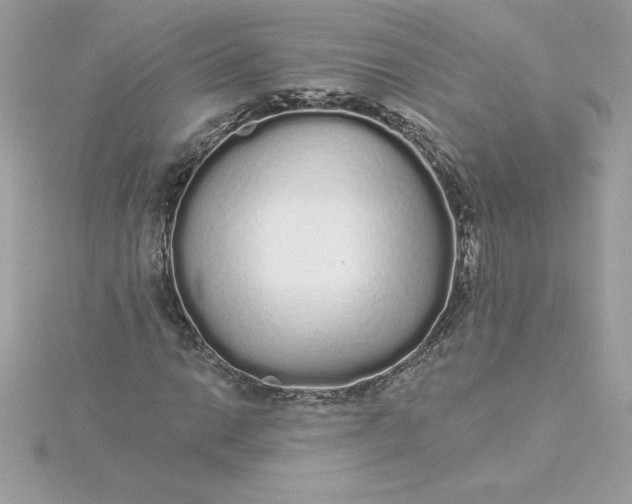 X0000116041014200912041807