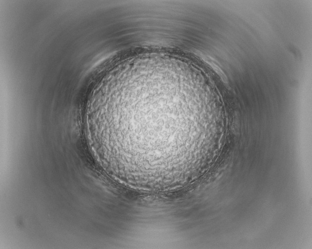 X0000116041015200912041807