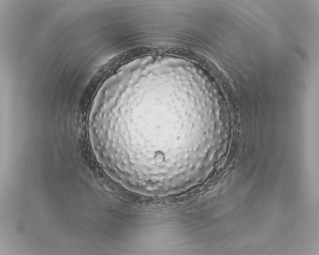 X0000116041016200912041807