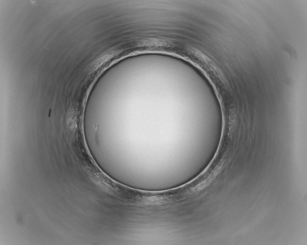 X0000116041017200912041807