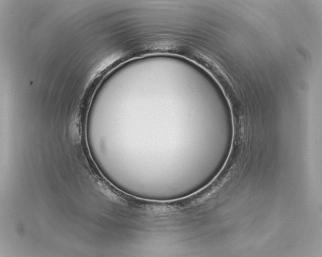 X0000116041018200912041807