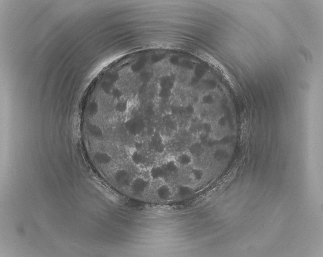 X0000116041019200912041807