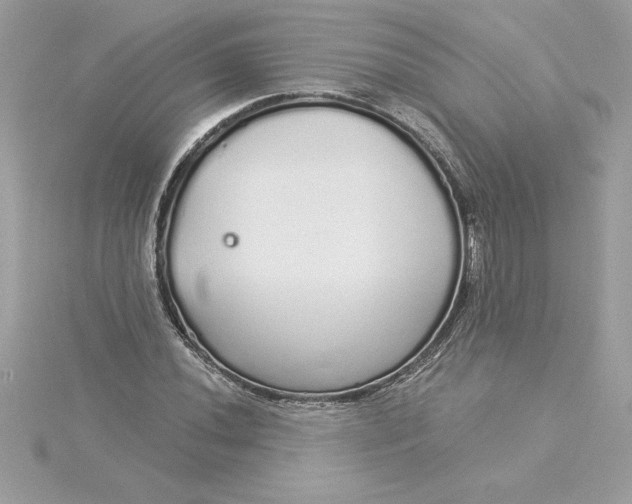 X0000116041020200912041807