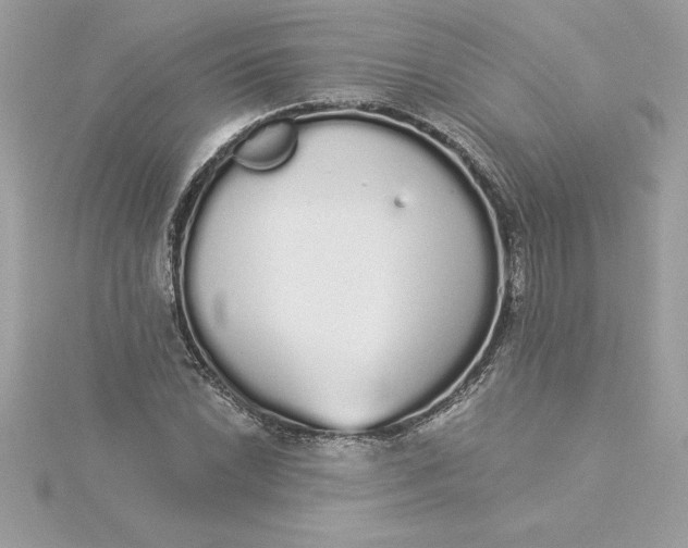 X0000116041022200912041807