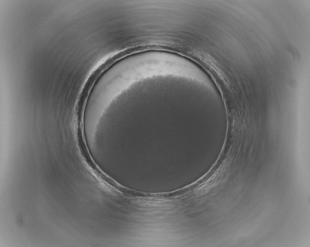 X0000116041024200912041807