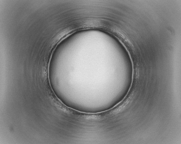 X0000116041025200912041807