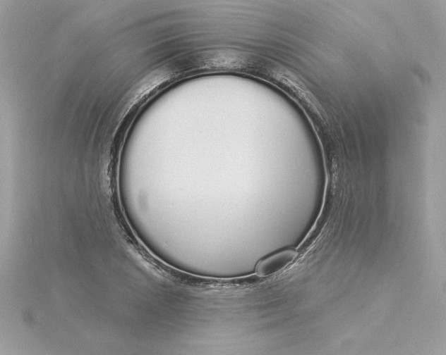 X0000116041026200912041807