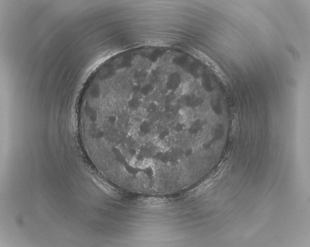 X0000116041027200912041807