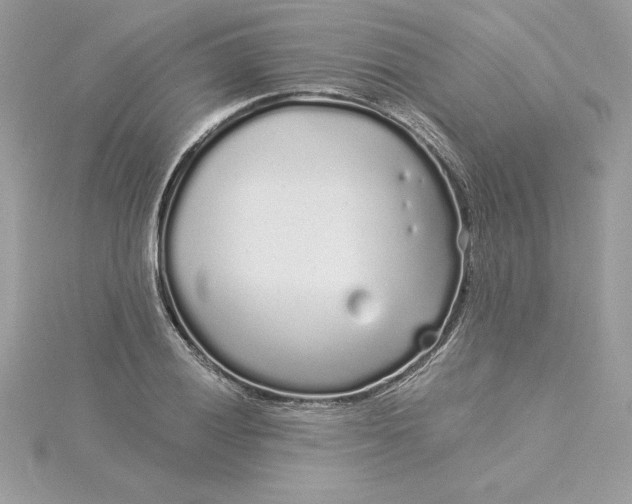 X0000116041028200912041807