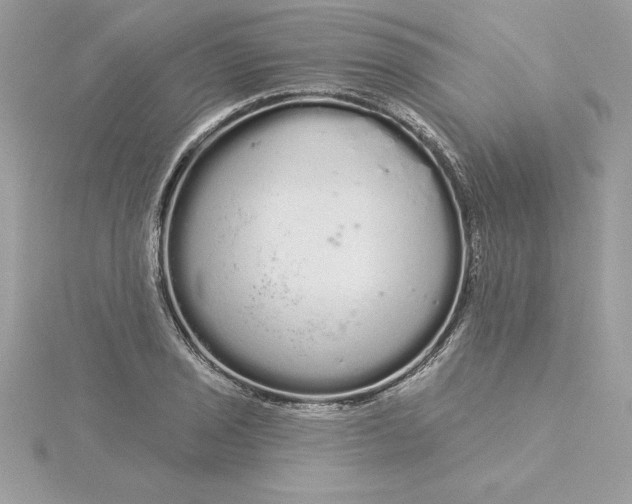 X0000116041029200912041807