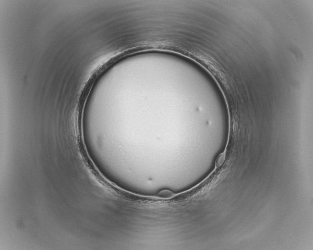 X0000116041030200912041807