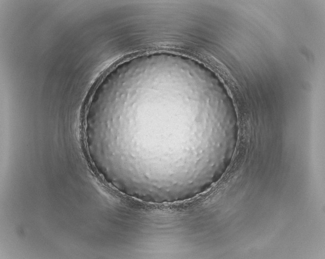 X0000116041031200912041807