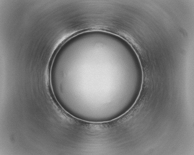 X0000116041032200912041807