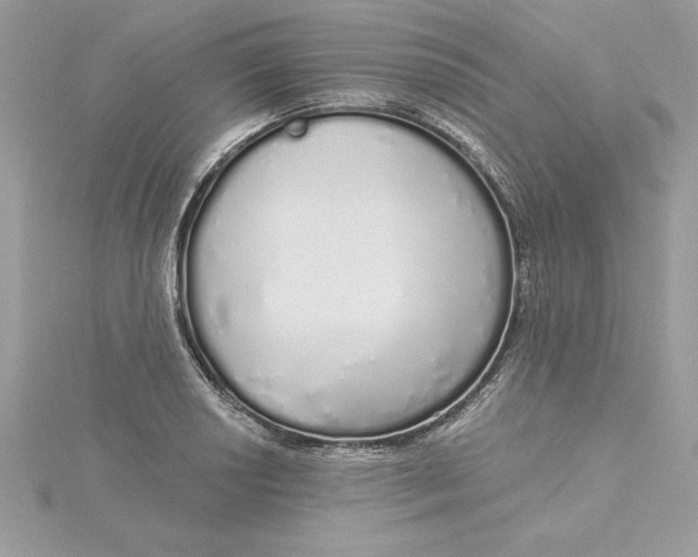 X0000116041034200912041807