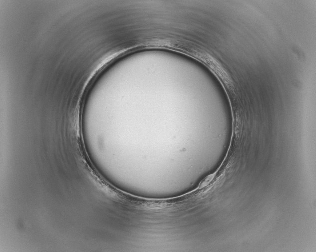 X0000116041036200912041807