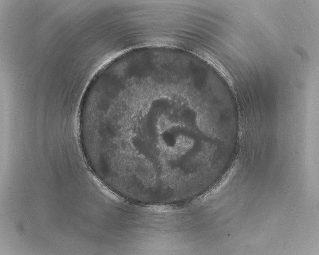 X0000116041037200912041807