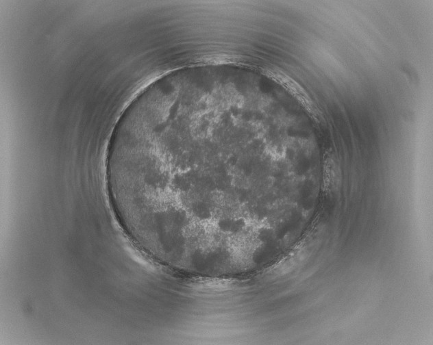 X0000116041039200912041808