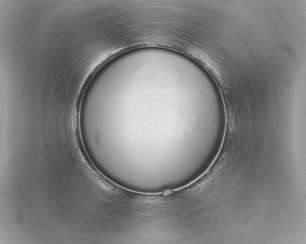 X0000116041040200912041808