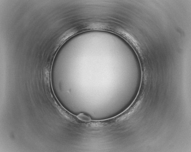 X0000116041041200912041808