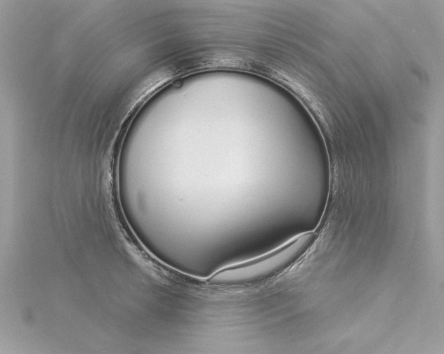 X0000116041042200912041808