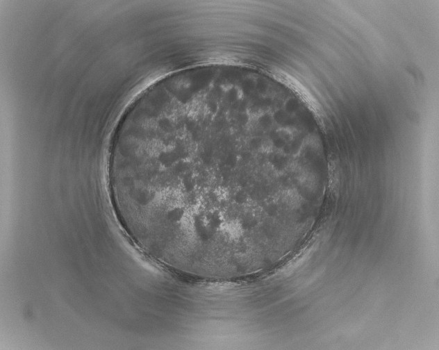 X0000116041043200912041808