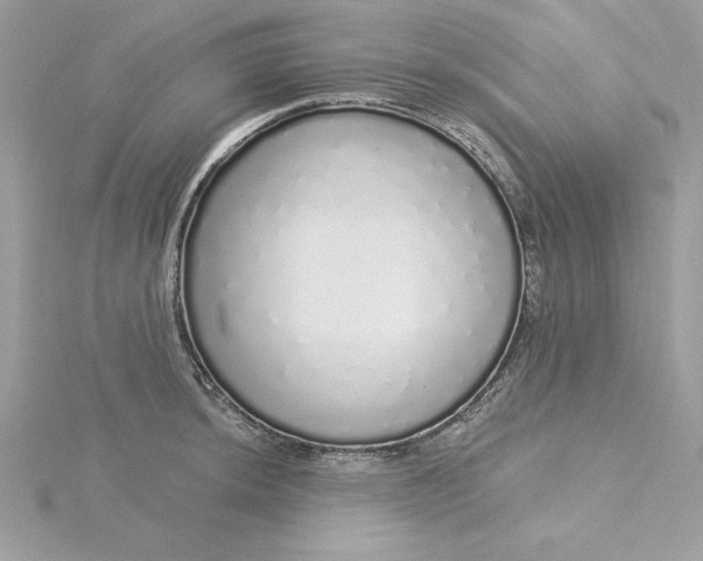 X0000116041044200912041808