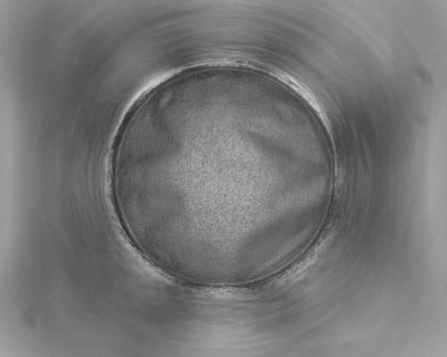 X0000116041045200912041808