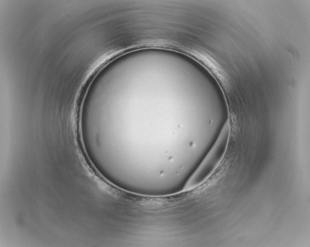 X0000116041046200912041808