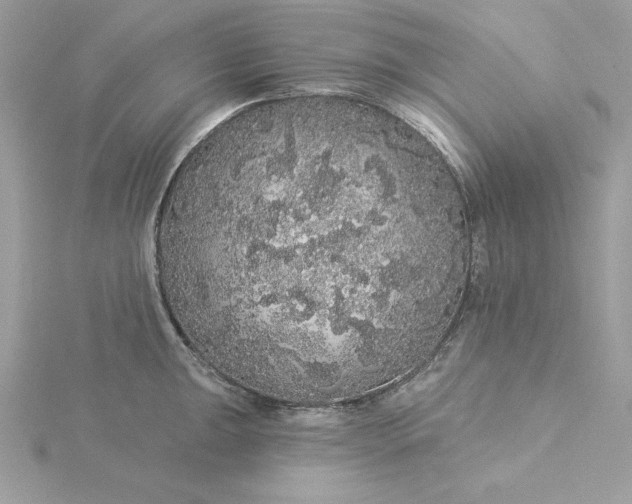 X0000116041047200912041808