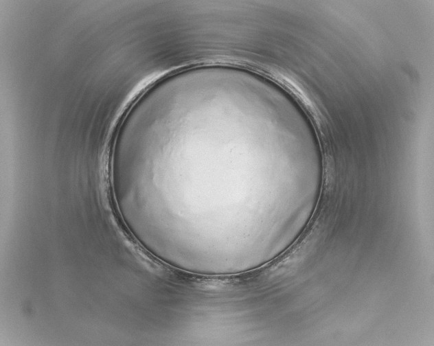 X0000116041048200912041808