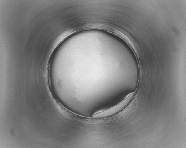 X0000116041050200912041808