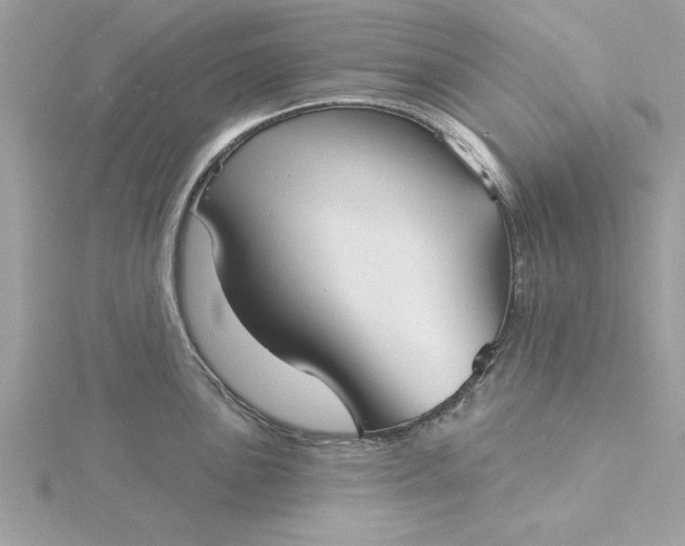 X0000116041051200912041808