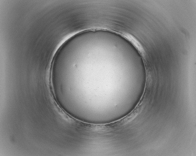 X0000116041052200912041808