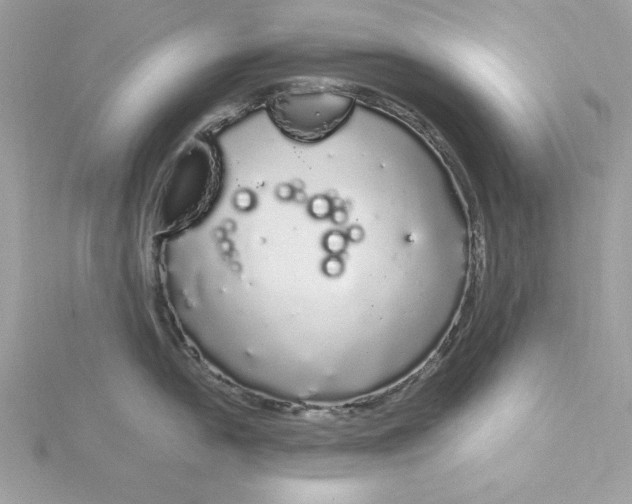 X0000116041054200912041808