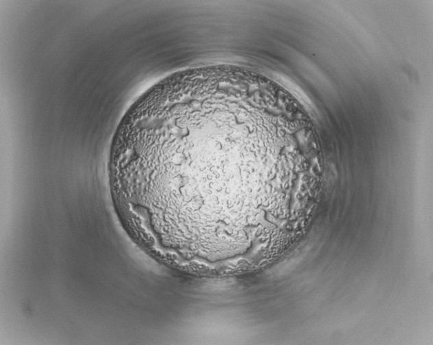 X0000116041055200912041808